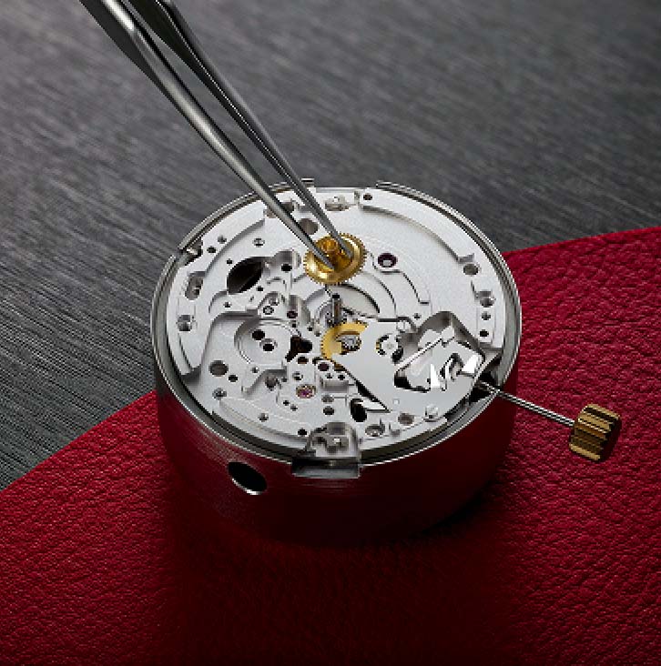 TUDOR Movements